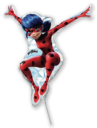 Miraculous Ladybug Mini