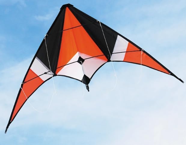 Dual Line Professional Junior Stunt Kite