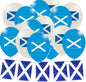 10M 20 Flag Bunting & 24pc x 12" Balloons (Scotland)