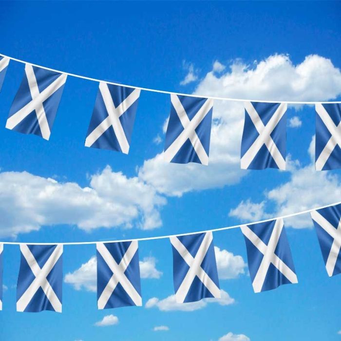 Scotland Flag Bunting 7m / 22ft, 24 Flags, Scottish Party Decoration